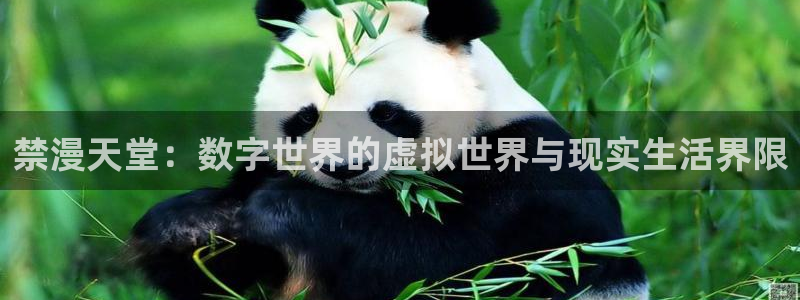 stagenehind韩漫免费观看：禁漫天堂：数字世界的虚拟世界与现实生活界限