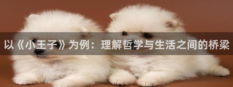 age专注动漫的门户网站：以《小王子》为例：理解哲学与生活之间的桥梁