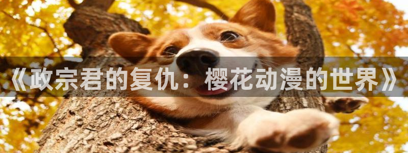 colamanage漫画官网：《政宗君的复仇：樱花动漫的世界》