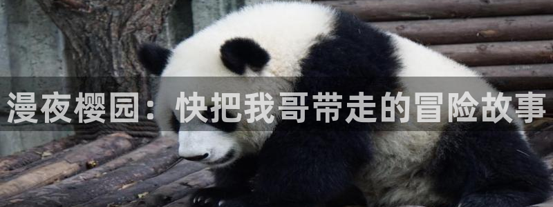 age漫画网：漫夜樱园：快把我哥带走的冒险故事