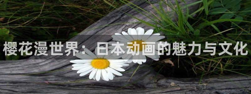 虫虫漫画下载动漫全免费：樱花漫世界：日本动画的魅力与文化