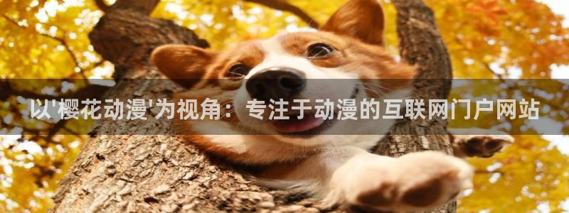 age专注动漫的门户网站：以\'樱花动漫\'为视角：专注于动漫的互联网门户网站