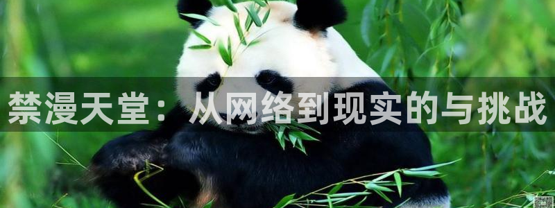 虫虫漫画网官网入口：禁漫天堂：从网络到现实的与挑战