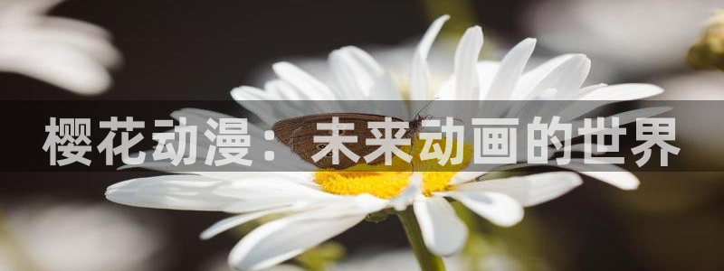 虫虫漫画网下载：樱花动漫：未来动画的世界