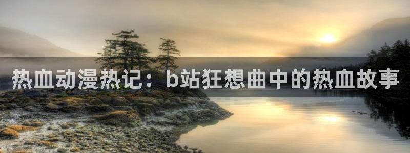 volcanicage漫画：热血动漫热记：b站狂想曲中的热血故事