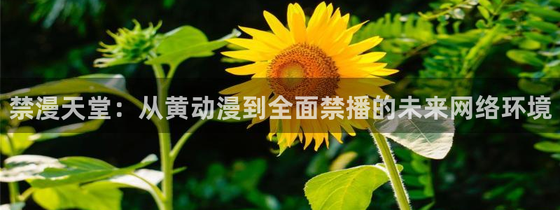 虫虫漫画官网网址：禁漫天堂：从黄动漫到全面禁播的未来网络环境