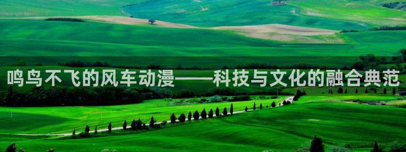 虫虫漫画网：鸣鸟不飞的风车动漫——科技与文化的融合典范